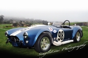 000-Shelby-Cobra